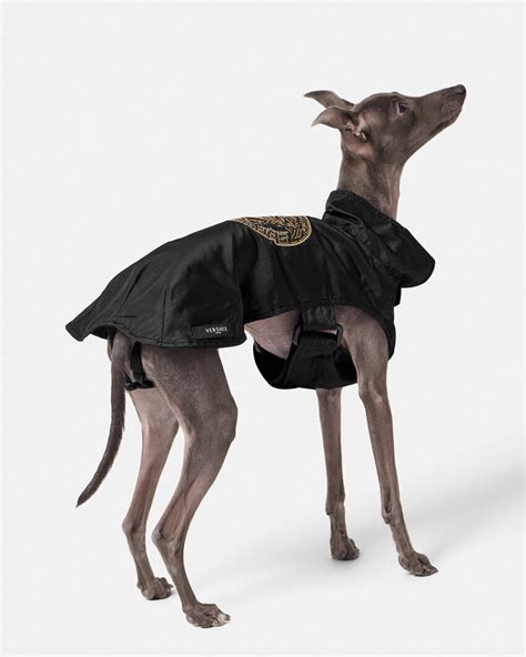 versace dog coat|Crystal Medusa Small Pet Raincoat .